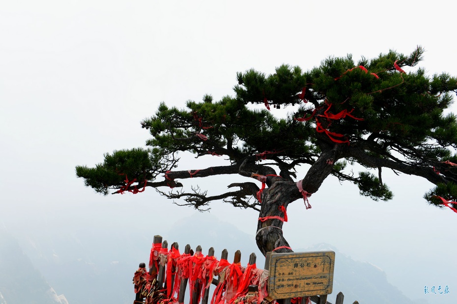 华山南峰之巅看三公山云卷云舒