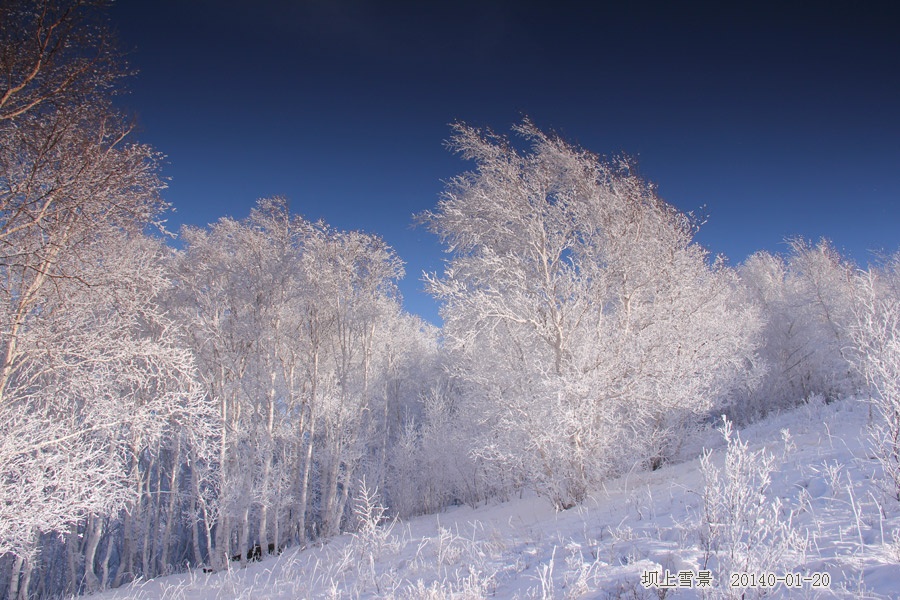 到乌兰布统坝上草原拍雪景 - H哥 - H哥的博客 到乌兰布统坝上草原拍雪景 - H哥 - H哥的博客