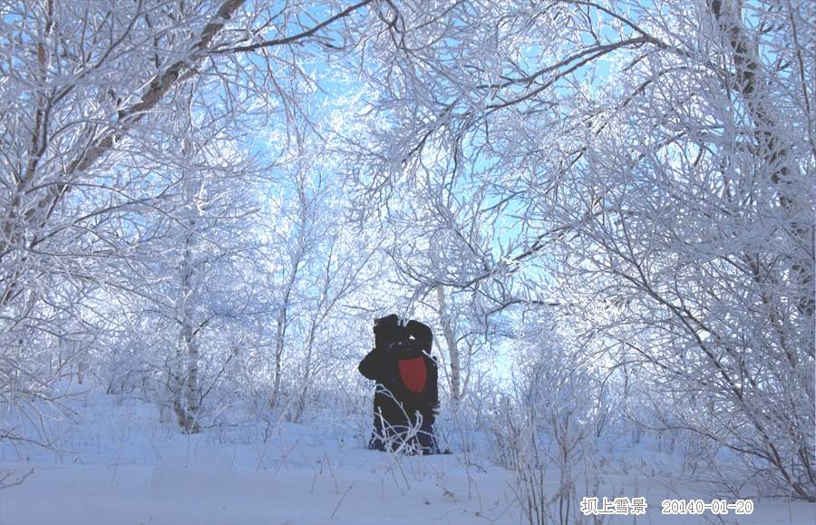 到乌兰布统坝上草原拍雪景 - H哥 - H哥的博客 到乌兰布统坝上草原拍雪景 - H哥 - H哥的博客