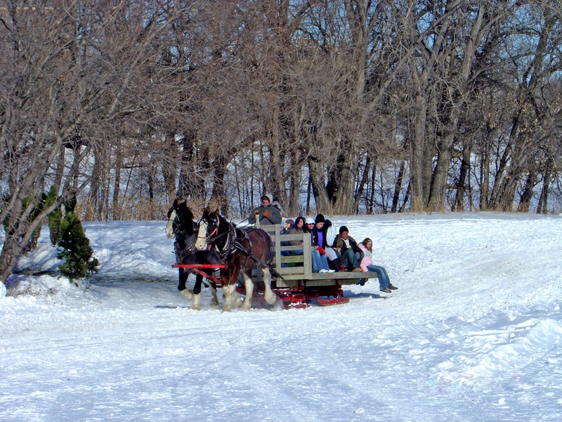 寒冬加拿大最冷的城市-曼省的温尼伯市(winnipeg),多彩的户外活动 - sihaiyunyou - sihaiyunyou的博客 寒冬加拿大最冷的城市-曼省的温尼伯市(winnipeg),多彩的户外活动 - sihaiyunyou - sihaiyunyou的博客