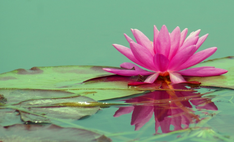 我是一个不善于言表、性格内向的男人,快奔三