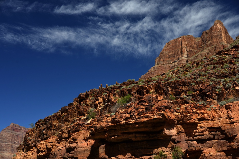 美西游记:探秘科罗拉多河冰火两重天