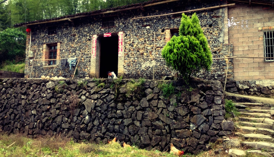【云端听花开】寻常日子·别样幸福──三清山岭头山村(手机拍摄) - 酒窝果果 - 酒窝果果 【云端听花开】寻常日子·别样幸福──三清山岭头山村(手机拍摄) - 酒窝果果 - 酒窝果果