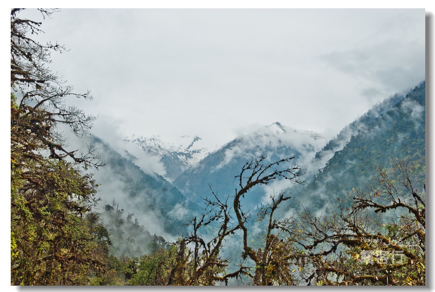 自驾高黎贡山 漫步山水画卷