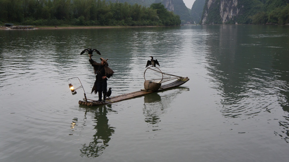 漓江渔火——鱼鹰捕鱼