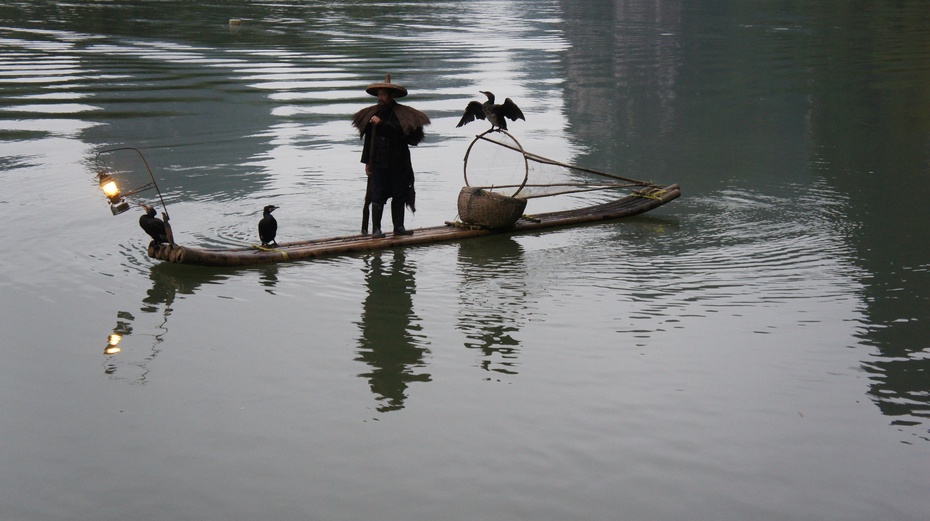 漓江渔火——鱼鹰捕鱼