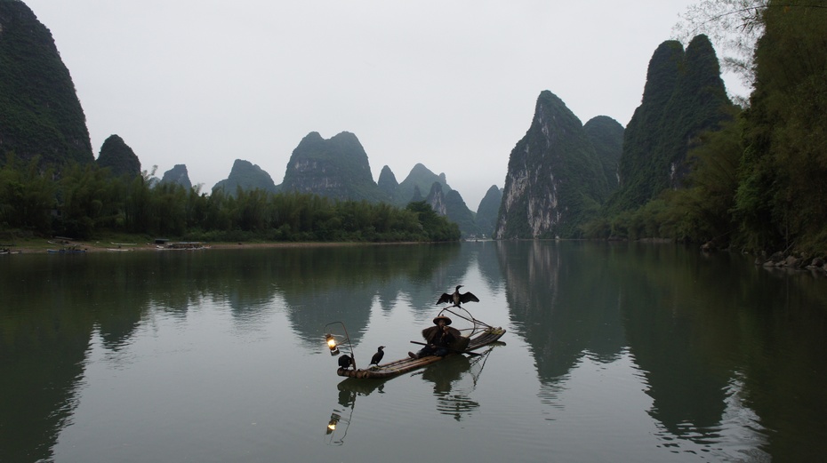 漓江渔火——鱼鹰捕鱼