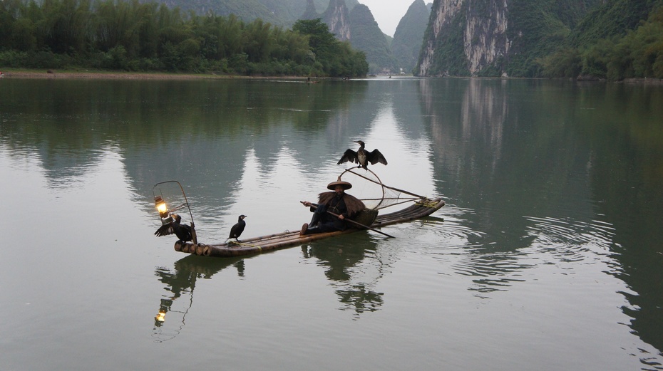 漓江渔火——鱼鹰捕鱼