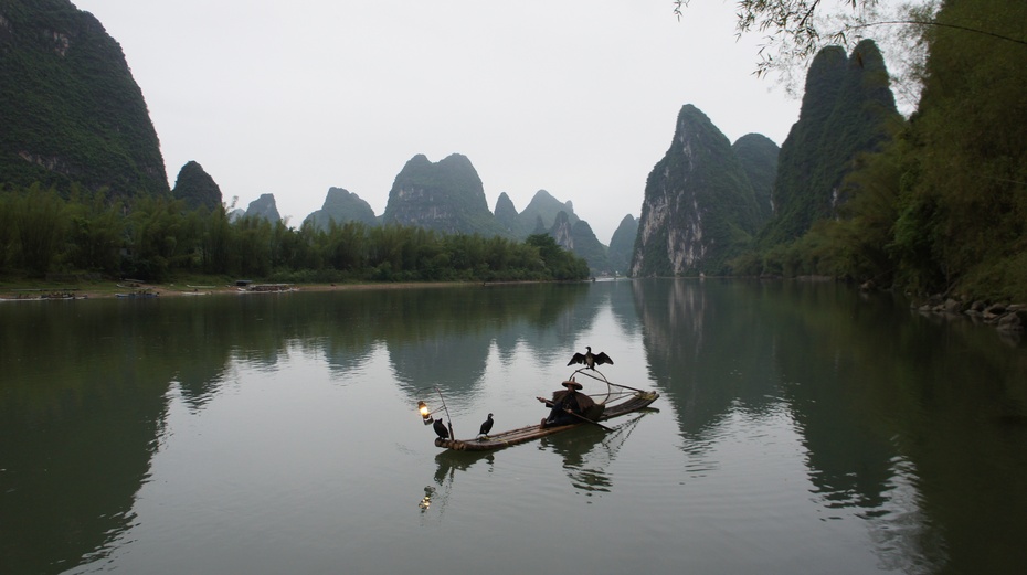 漓江渔火——鱼鹰捕鱼