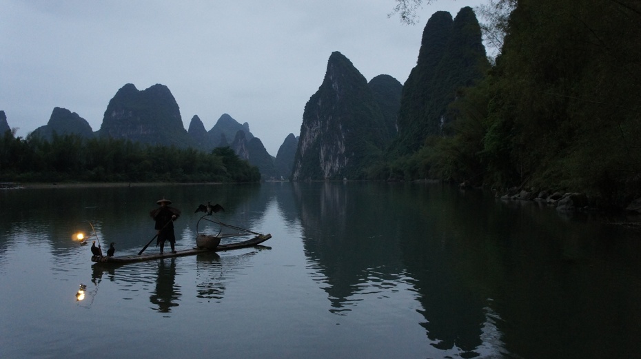 漓江渔火——鱼鹰捕鱼