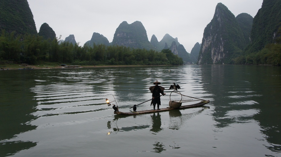 漓江渔火——鱼鹰捕鱼