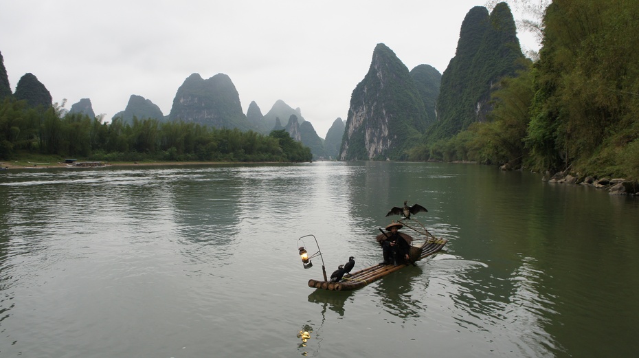 漓江渔火——鱼鹰捕鱼