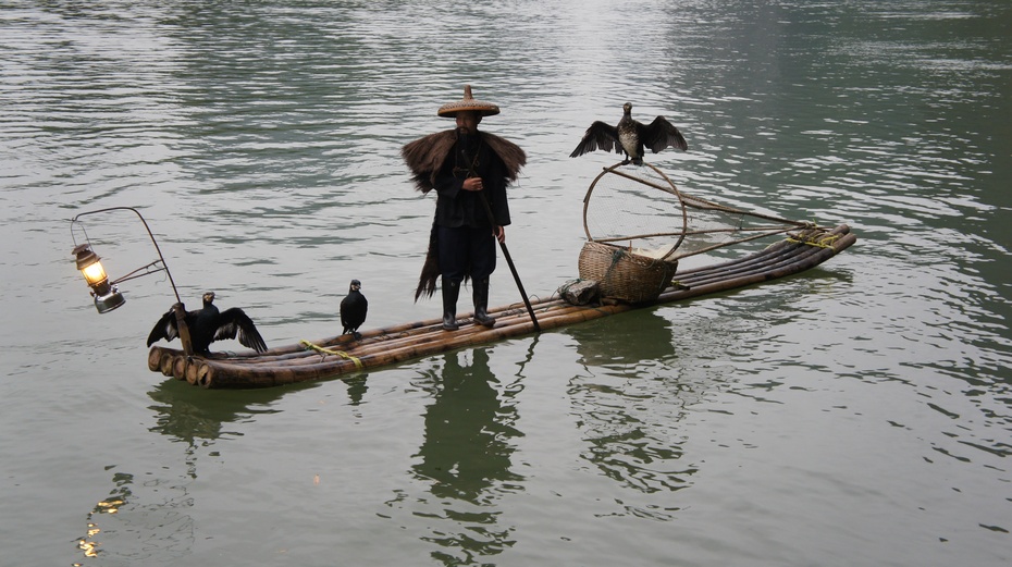 漓江渔火——鱼鹰捕鱼