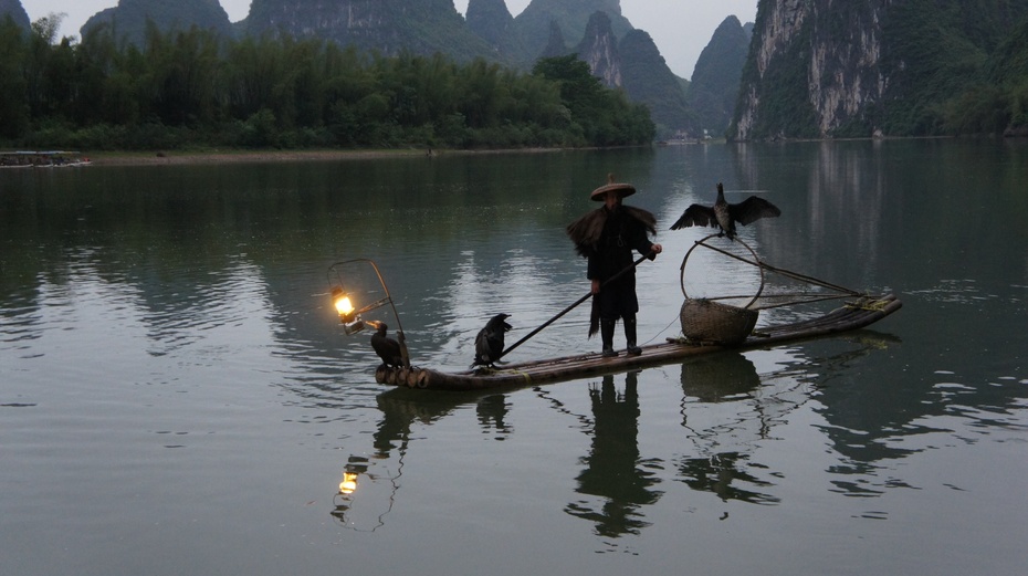 漓江渔火——鱼鹰捕鱼