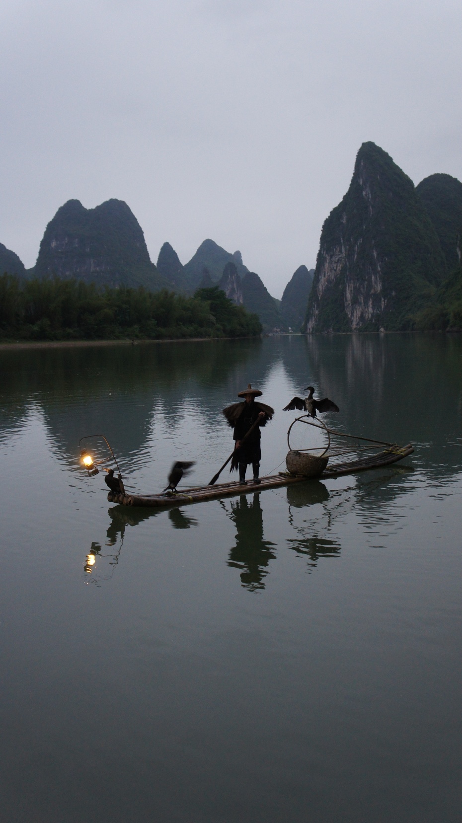 漓江渔火——鱼鹰捕鱼