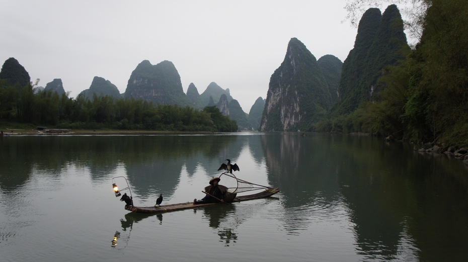 漓江渔火——鱼鹰捕鱼