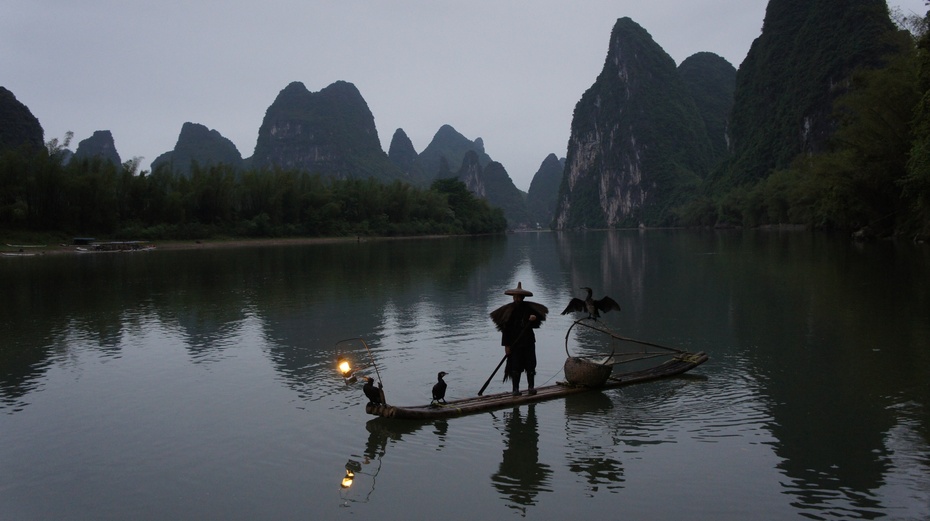 漓江渔火——鱼鹰捕鱼