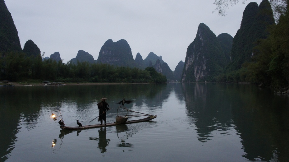 漓江渔火——鱼鹰捕鱼