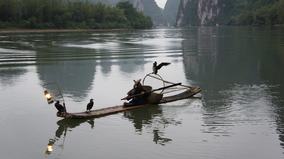 漓江渔火——鱼鹰捕鱼