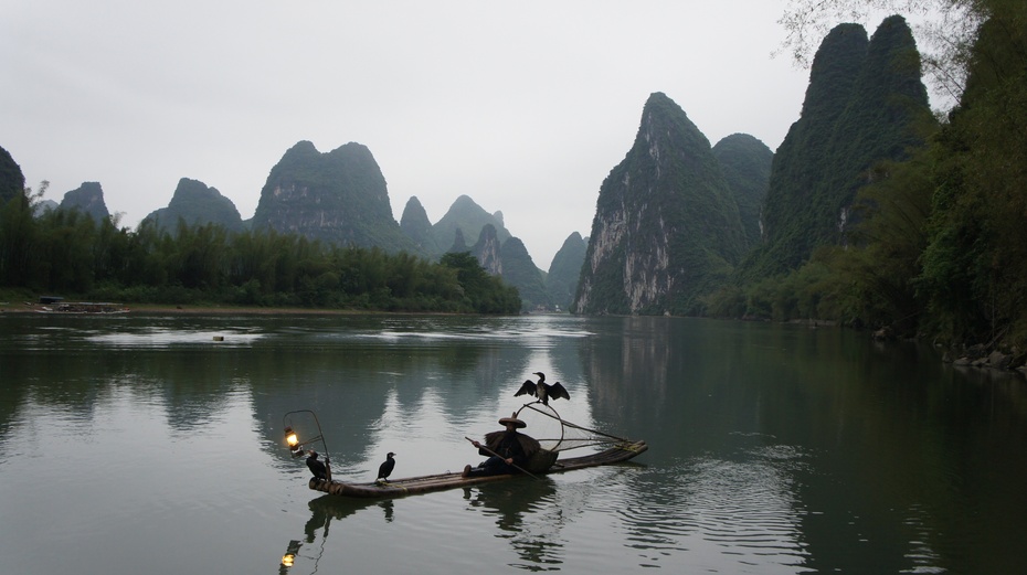 漓江渔火——鱼鹰捕鱼