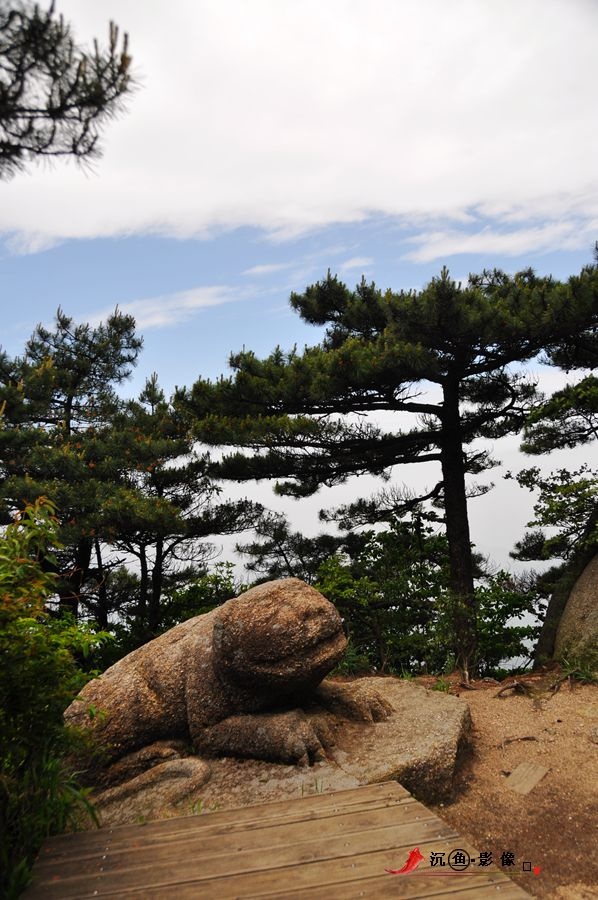 原摄名博游三清山(二)三清福地 - 沉鱼 - 沉鱼雅居 原摄名博游三清山(二)三清福地 - 沉鱼 - 沉鱼雅居