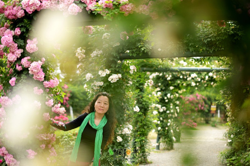 补写博文:【住在成都】御香玫瑰园