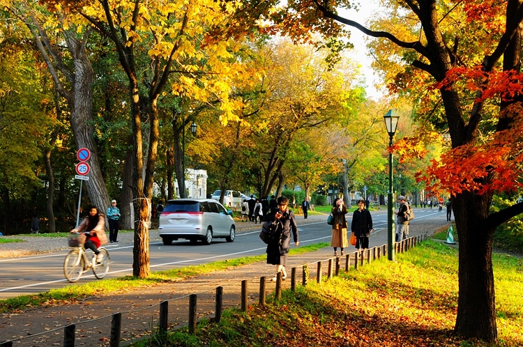 日本北海道大学