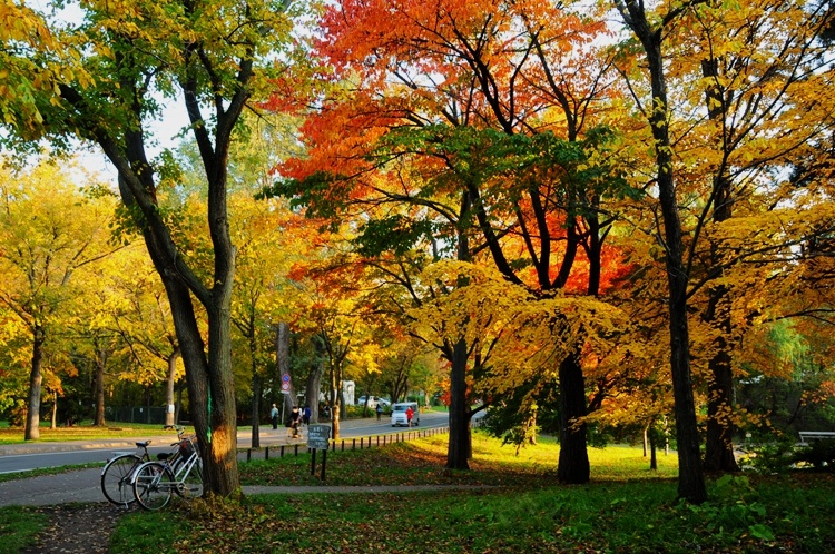 日本北海道大学