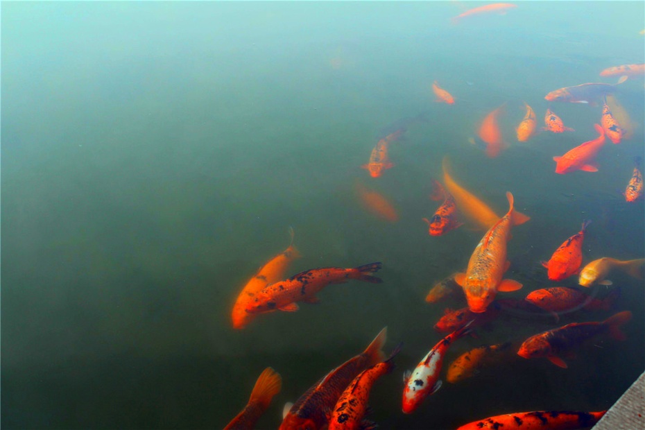 慢游西安,体验盛唐文化和历史之最