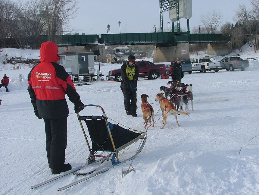 北美北极犬拉雪橇比赛