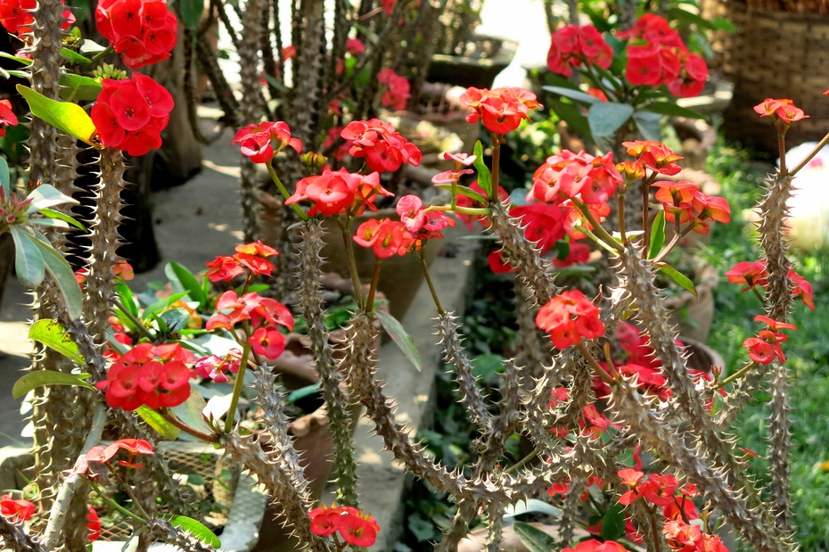 世界各国gdp排名_老挝人均gdp排名(3)