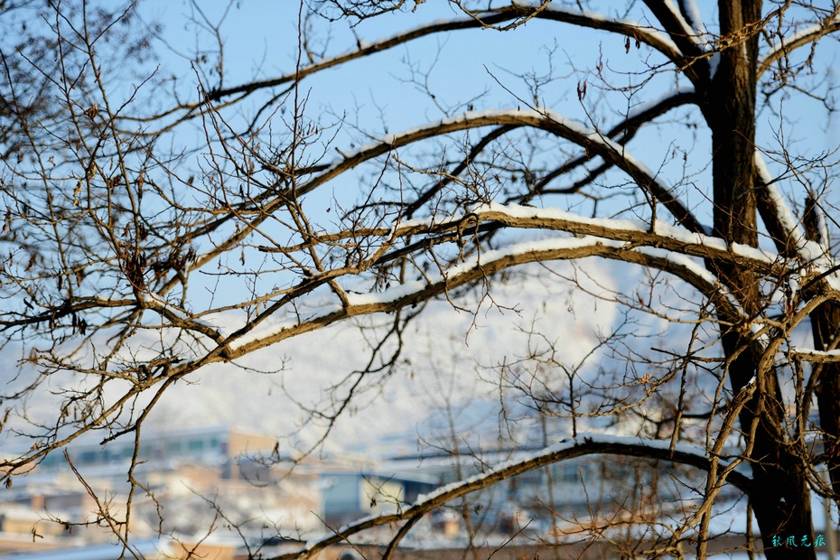 怀念黄土高坡的冬雪与深秋