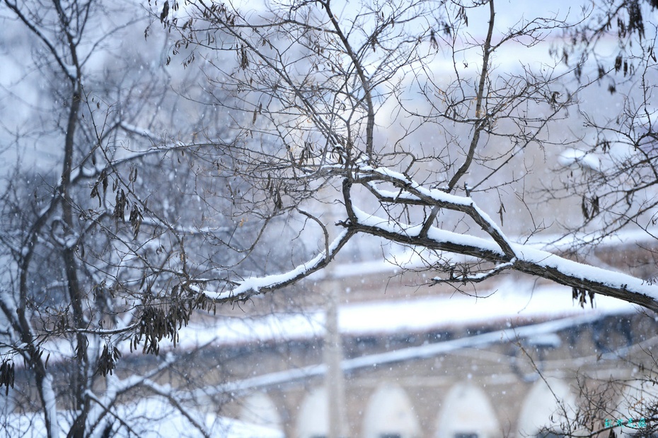 怀念黄土高坡的冬雪与深秋