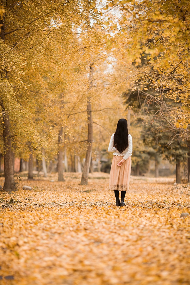 人生天地间 忽如远行客猜成语_人生天地间忽如远行客