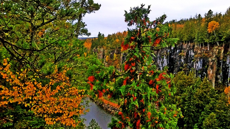 加拿大安大略奥秘(Ouimet Canyon)峡谷公园和鹰谷峡(Eagle Canyon)索道,吊桥 - sihaiyunyou - sihaiyunyou的博客 加拿大安大略奥秘(Ouimet Canyon)峡谷公园和鹰谷峡(Eagle Canyon)索道,吊桥 - sihaiyunyou - sihaiyunyou的博客