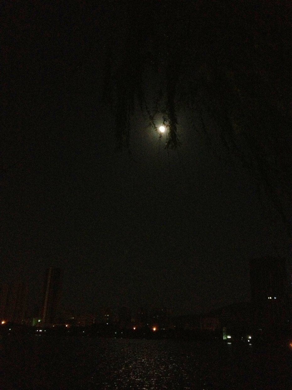 月夜-缩做一团-搜狐博客