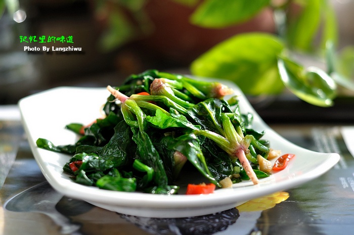 红嘴绿鹦哥炝炒菠菜