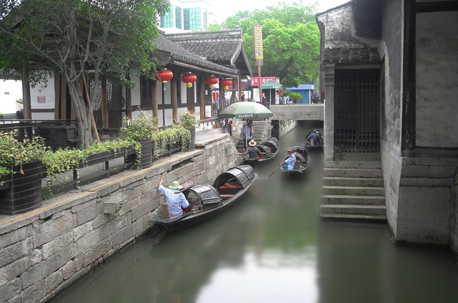 鲁迅:从百草园到三味书屋