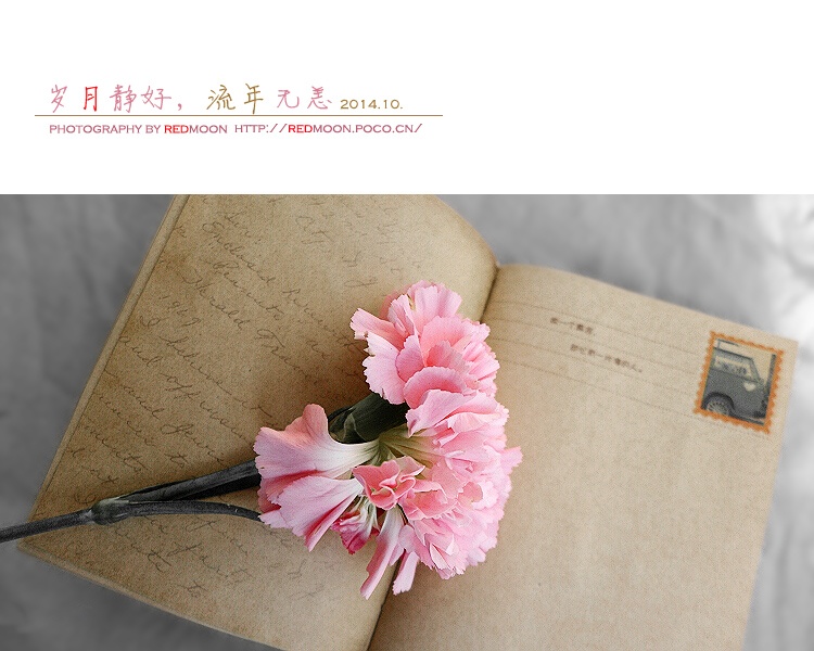 岁月静好,流年无恙