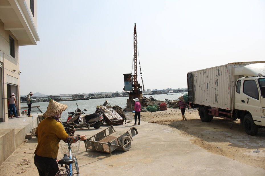 岱嵩村人口_呼市美岱村(2)