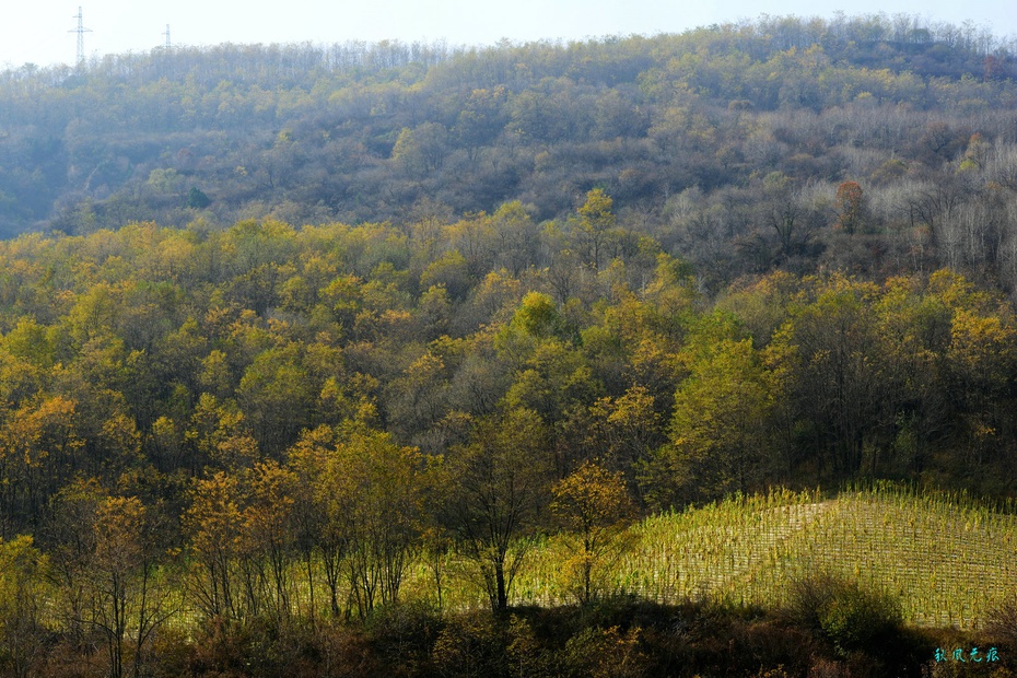 怀念黄土高坡的冬雪与深秋