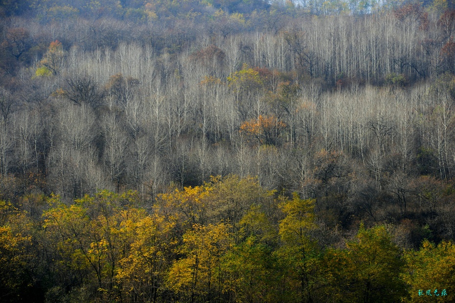 怀念黄土高坡的冬雪与深秋