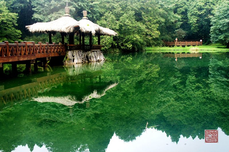 台湾纪行 阿里山搭乘小火车观千年神木