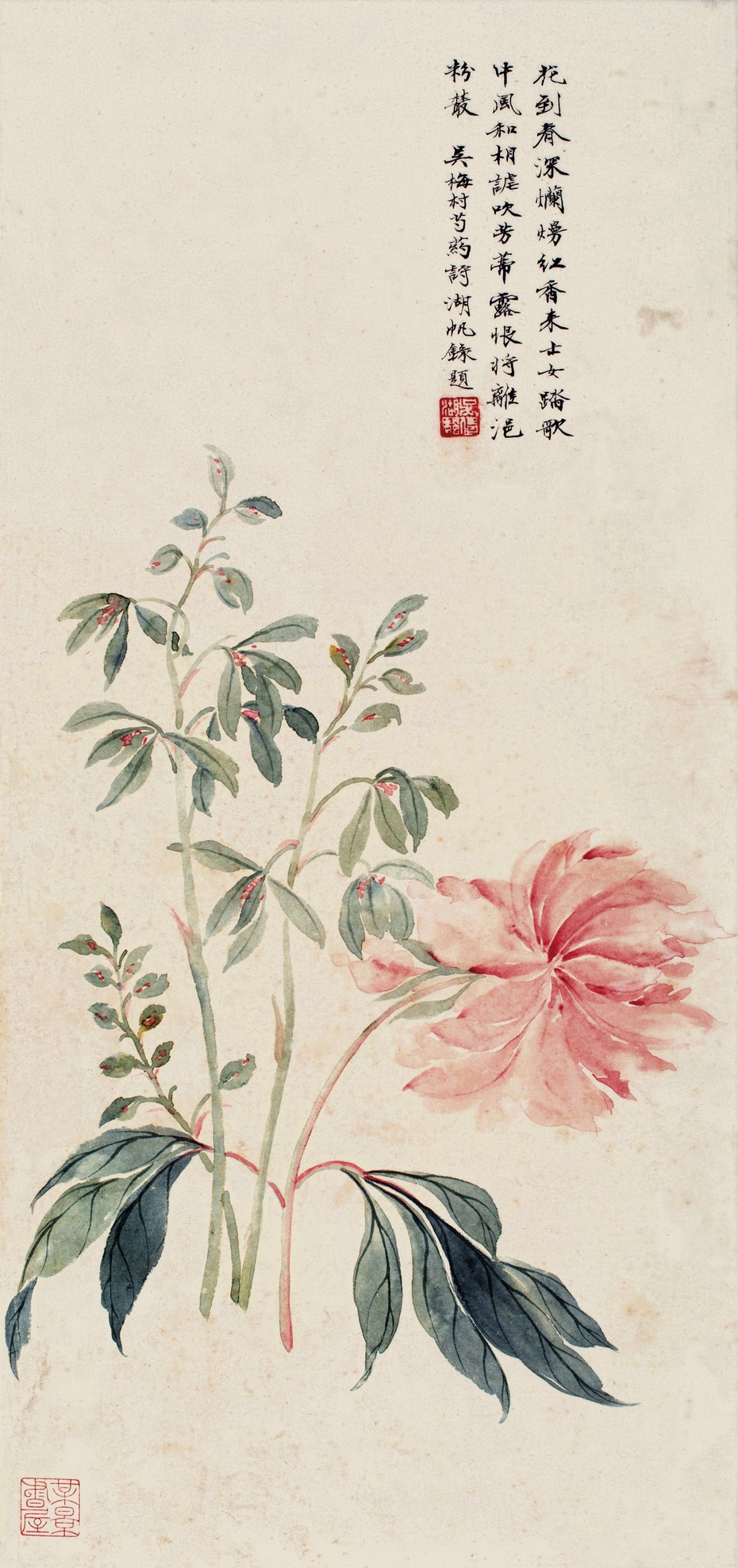 吴湖帆 花鸟画