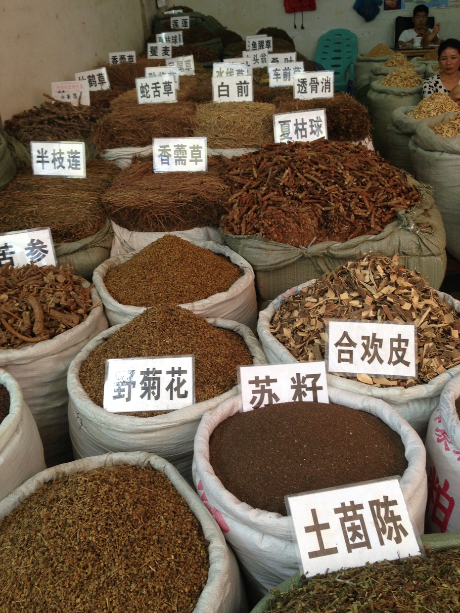 走进玉林中药材市场  蜈蚣蜂窝都是药 - 余昌国 - 我的博客