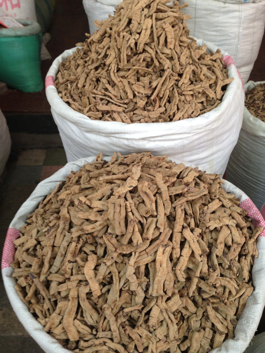 走进玉林中药材市场  蜈蚣蜂窝都是药 - 余昌国 - 我的博客