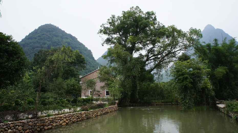 依山傍水的宜居乡村:恭城矮寨