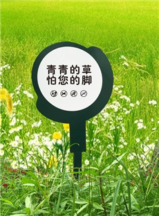 花草牌-006_产品图片