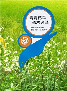 花草牌-704_产品图片