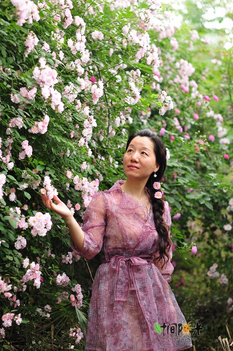 补写博文:【住在成都】御香玫瑰园